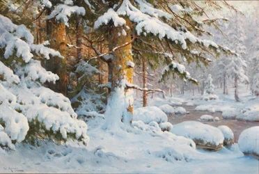 Vinter i skogen